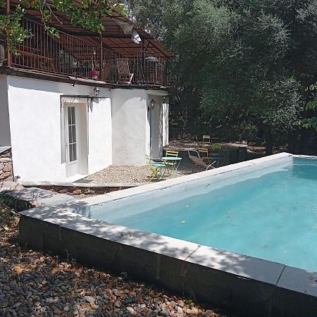 Hotel Berbi Rosse Oletta  Exteriér fotografie